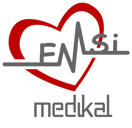emsi logo1